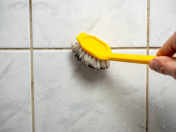 Best Preventive Mold Services in New Iberia, LA